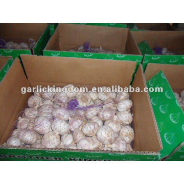 5.0cm normal white garlic 10kg loose carton